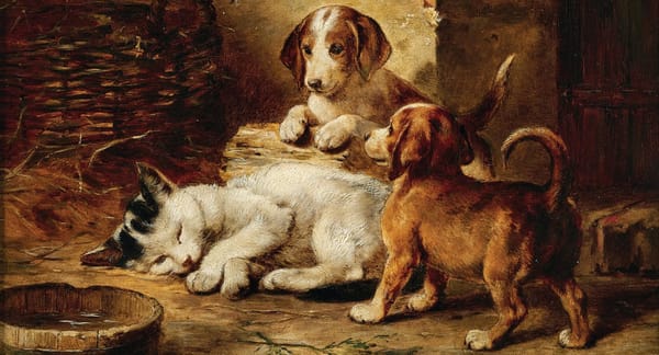 An Insomniac Wonder World